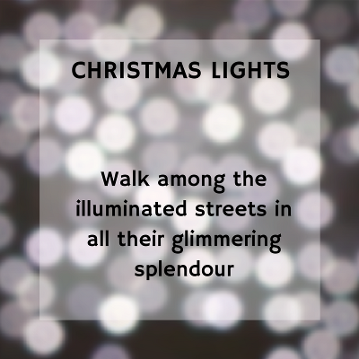 Christmas Lights Walk